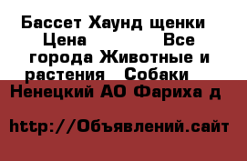 Бассет Хаунд щенки › Цена ­ 20 000 - Все города Животные и растения » Собаки   . Ненецкий АО,Фариха д.